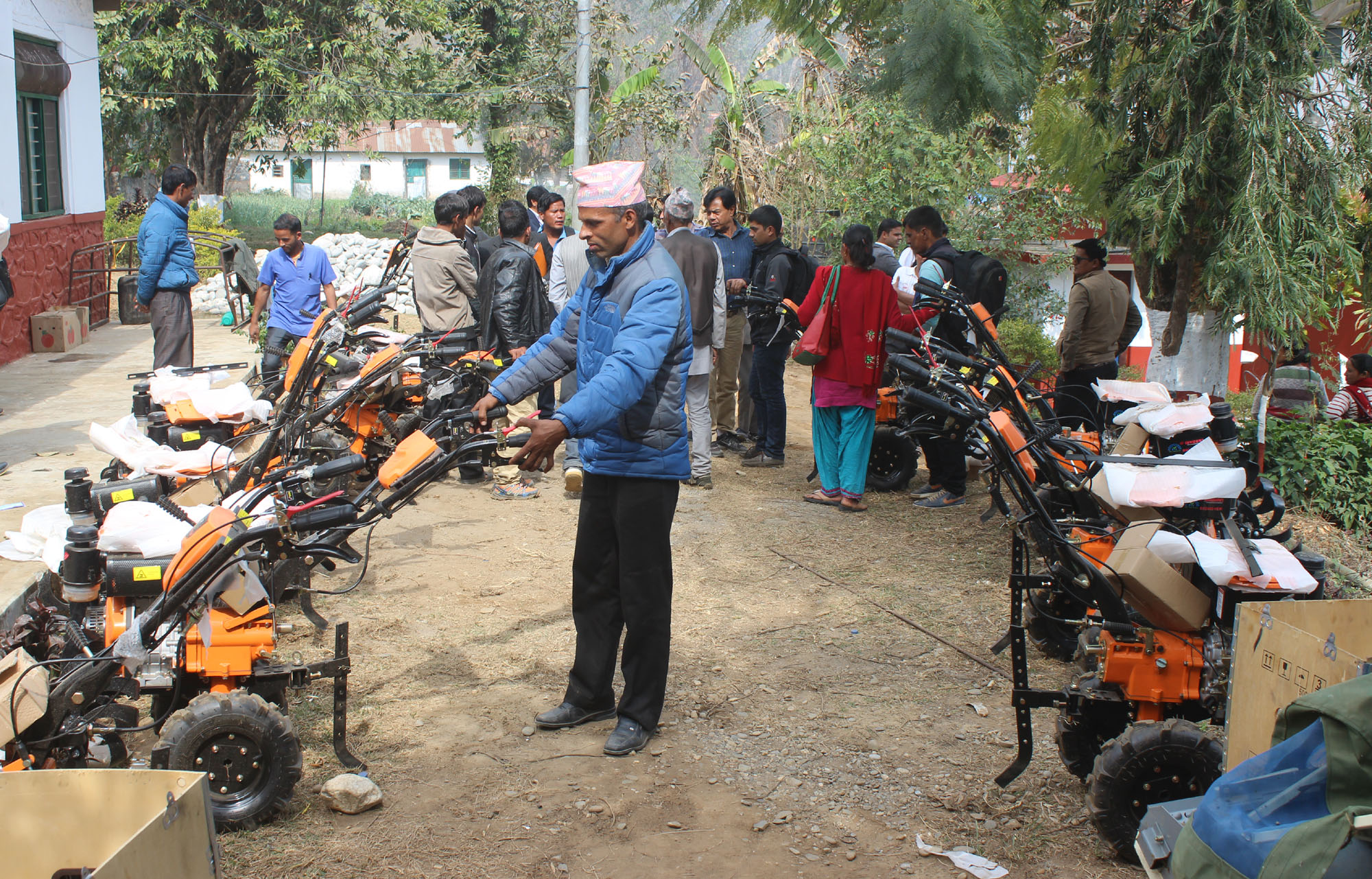 गोरु वेचेर हलोे माग गर्दै कृषक